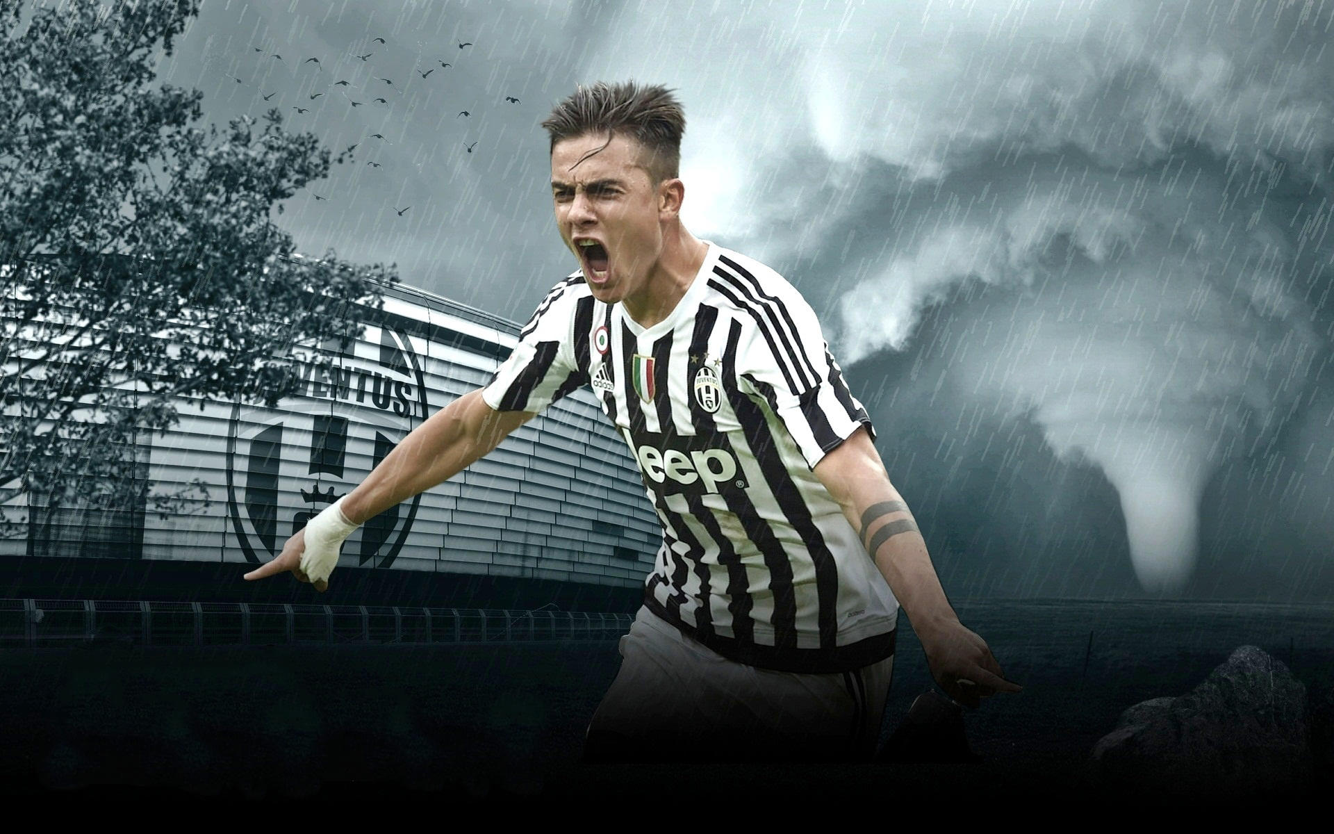 欧冠前一天换帅，布鲁日官方：前海港主帅莱科接手球队（欧冠前夕布鲁日官宣换帅：前海港主帅莱科正式接任）